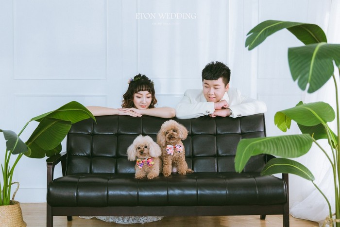 寵物寫真,寵物攝影,寵物照,毛孩照,紀念照